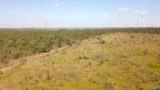 FAZENDA PARA SOJA OU GADO A VENDA EM ALEXÂNIA-GO