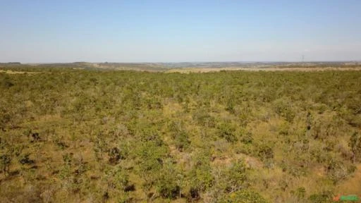 FAZENDA PARA SOJA OU GADO A VENDA EM ALEXÂNIA-GO