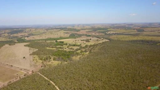 FAZENDA PARA SOJA OU GADO A VENDA EM ALEXÂNIA-GO