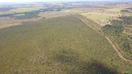 FAZENDA PARA SOJA OU GADO A VENDA EM ALEXÂNIA-GO