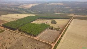 FAZENDA PARA SOJA OU GADO A VENDA EM PLANALTINA – DF