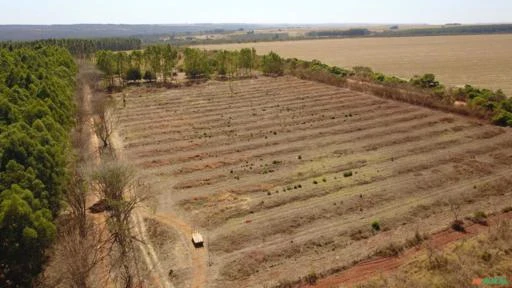 FAZENDA PARA SOJA OU GADO A VENDA EM PLANALTINA – DF