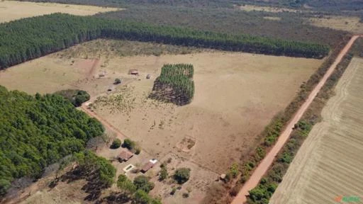 FAZENDA PARA SOJA OU GADO A VENDA EM PLANALTINA – DF