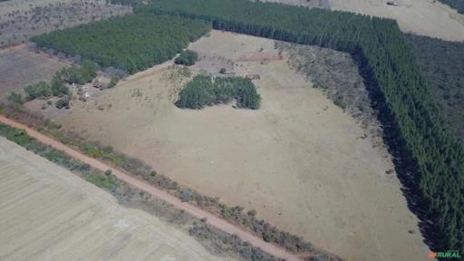 FAZENDA PARA SOJA OU GADO A VENDA EM PLANALTINA – DF