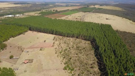 FAZENDA PARA SOJA OU GADO A VENDA EM PLANALTINA – DF