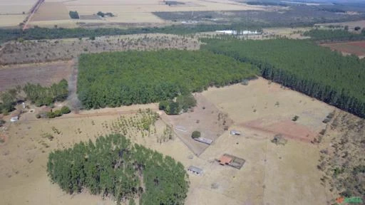 FAZENDA PARA SOJA OU GADO A VENDA EM PLANALTINA – DF