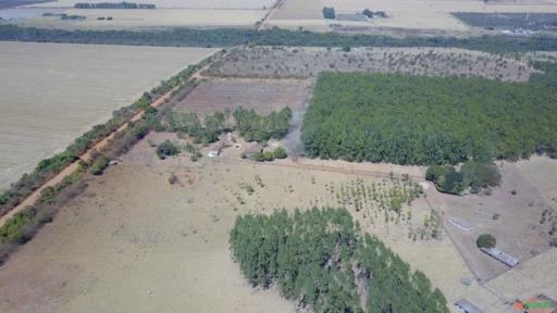 FAZENDA PARA SOJA OU GADO A VENDA EM PLANALTINA – DF