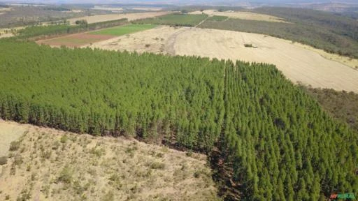 FAZENDA PARA SOJA OU GADO A VENDA EM PLANALTINA – DF