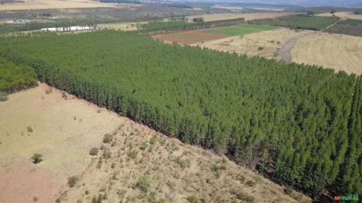 FAZENDA PARA SOJA OU GADO A VENDA EM PLANALTINA – DF