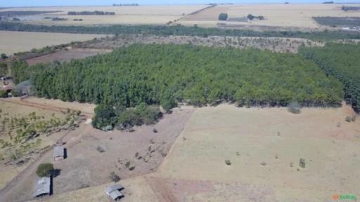 FAZENDA PARA SOJA OU GADO A VENDA EM PLANALTINA – DF