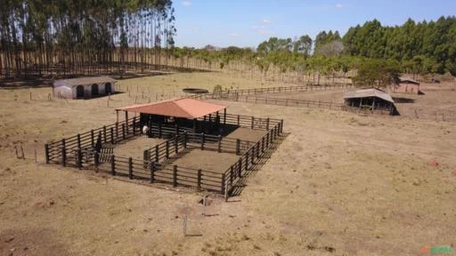 FAZENDA PARA SOJA OU GADO A VENDA EM PLANALTINA – DF