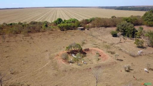 FAZENDA PARA SOJA OU GADO A VENDA EM PLANALTINA – DF