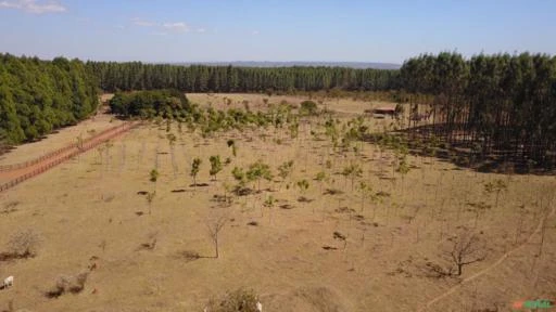 FAZENDA PARA SOJA OU GADO A VENDA EM PLANALTINA – DF