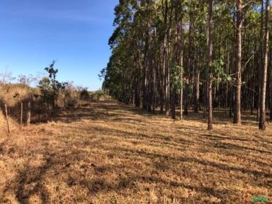 FAZENDA PARA SOJA OU GADO A VENDA EM PLANALTINA – DF