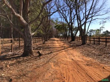 FAZENDA PARA SOJA OU GADO A VENDA EM PLANALTINA – DF