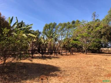 FAZENDA PARA SOJA OU GADO A VENDA EM PLANALTINA – DF