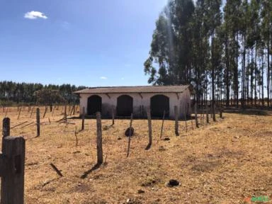 FAZENDA PARA SOJA OU GADO A VENDA EM PLANALTINA – DF