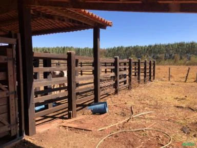 FAZENDA PARA SOJA OU GADO A VENDA EM PLANALTINA – DF