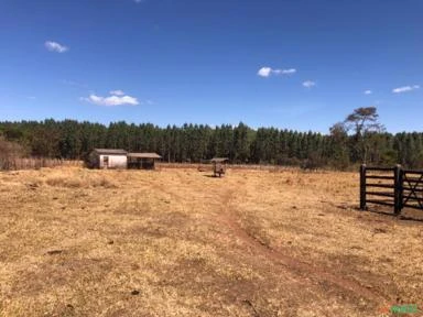 FAZENDA PARA SOJA OU GADO A VENDA EM PLANALTINA – DF