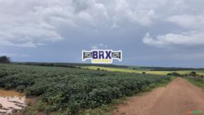 Fazenda Plantando Soja E Milho A Venda em Luziânia - Go