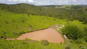 FAZENDA PARA GADO A VENDA NO DF.