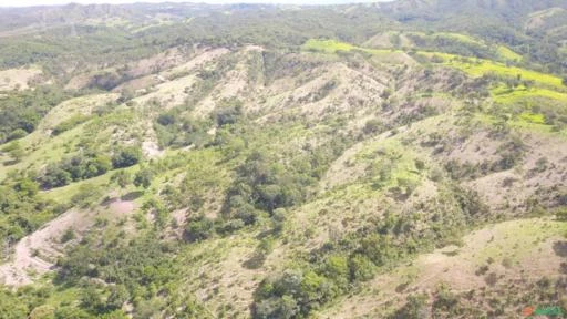 FAZENDA PARA GADO A VENDA EM PADRE BERNARDO GO