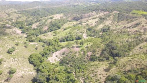 FAZENDA PARA GADO A VENDA EM PADRE BERNARDO GO