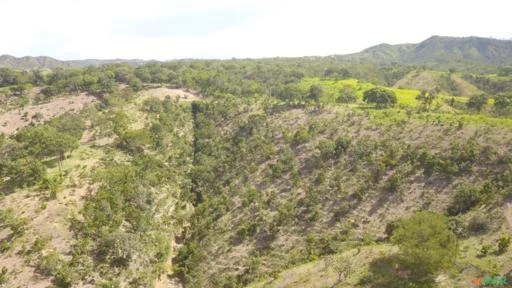 FAZENDA PARA GADO A VENDA EM PADRE BERNARDO GO