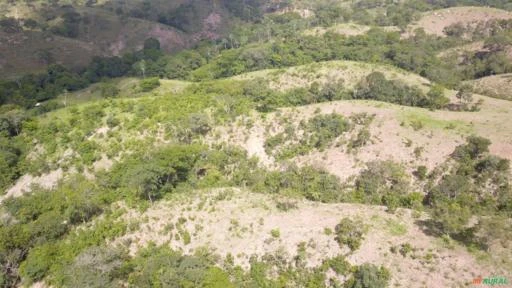 FAZENDA PARA GADO A VENDA EM PADRE BERNARDO GO