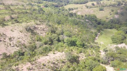 FAZENDA PARA GADO A VENDA EM PADRE BERNARDO GO