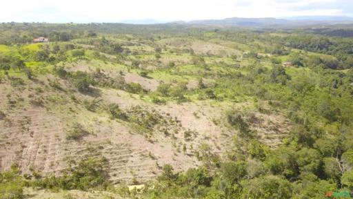 FAZENDA PARA GADO A VENDA EM PADRE BERNARDO GO