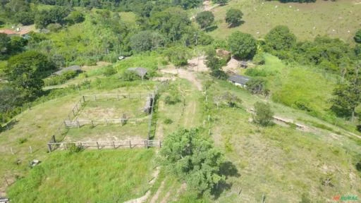 FAZENDA PARA GADO A VENDA EM PADRE BERNARDO GO