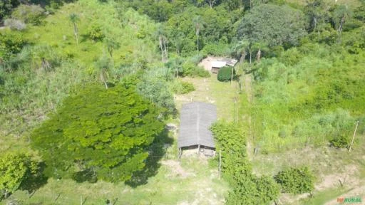 FAZENDA PARA GADO A VENDA EM PADRE BERNARDO GO