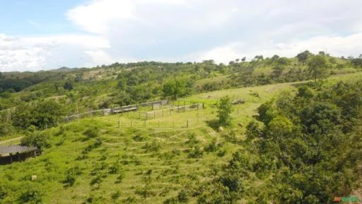 FAZENDA PARA GADO A VENDA EM PADRE BERNARDO GO