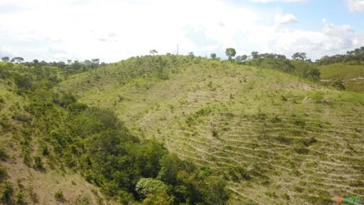 FAZENDA PARA GADO A VENDA EM PADRE BERNARDO GO