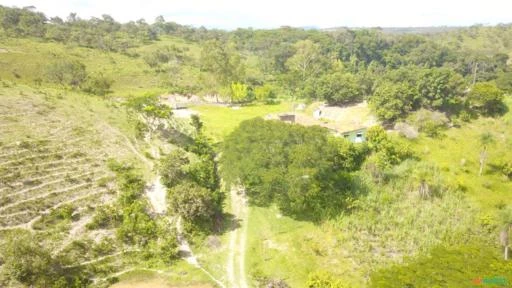 FAZENDA PARA GADO A VENDA EM PADRE BERNARDO GO