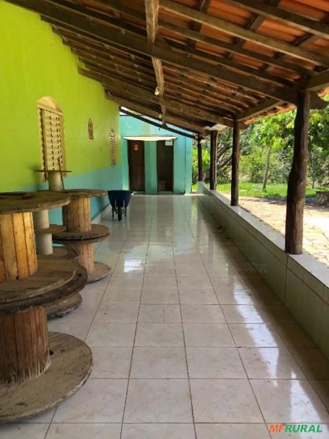 FAZENDA PARA GADO A VENDA EM PADRE BERNARDO GO