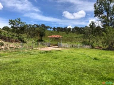 FAZENDA PARA GADO A VENDA EM PADRE BERNARDO GO