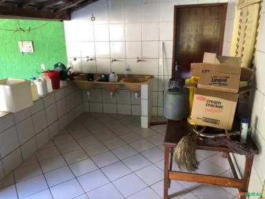 FAZENDA PARA GADO A VENDA EM PADRE BERNARDO GO