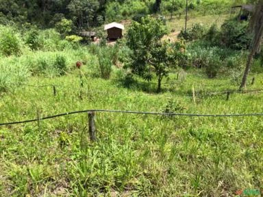 FAZENDA PARA GADO A VENDA EM PADRE BERNARDO GO