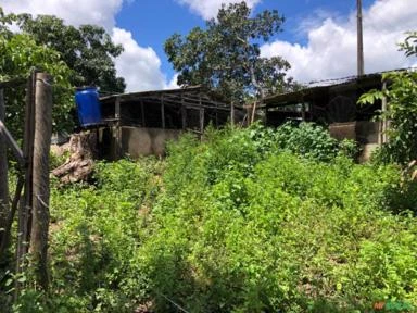 FAZENDA PARA GADO A VENDA EM PADRE BERNARDO GO