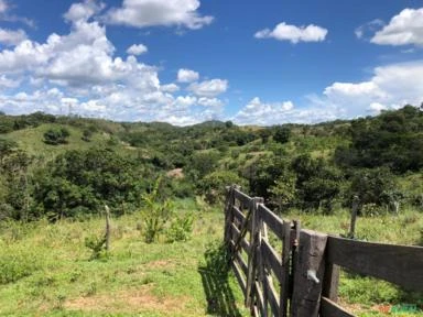 FAZENDA PARA GADO A VENDA EM PADRE BERNARDO GO