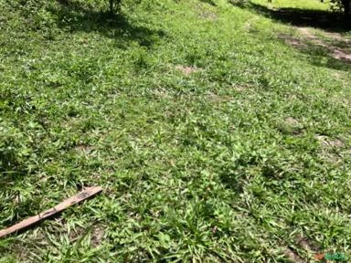 FAZENDA PARA GADO A VENDA EM PADRE BERNARDO GO