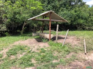 FAZENDA PARA GADO A VENDA EM PADRE BERNARDO GO