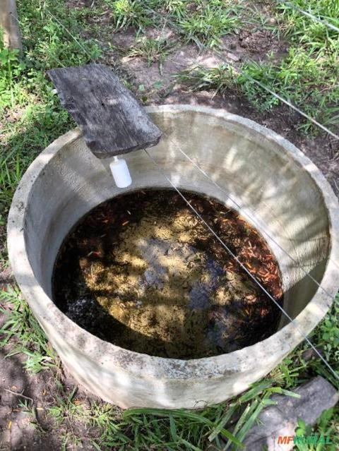 FAZENDA PARA GADO A VENDA EM PADRE BERNARDO GO