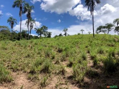 FAZENDA PARA GADO A VENDA EM PADRE BERNARDO GO