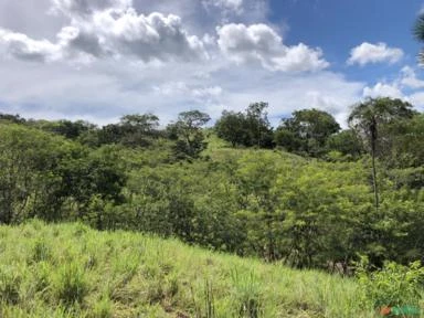 FAZENDA PARA GADO A VENDA EM PADRE BERNARDO GO