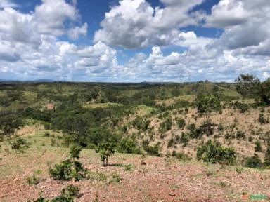 FAZENDA PARA GADO A VENDA EM PADRE BERNARDO GO