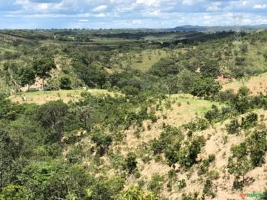 FAZENDA PARA GADO A VENDA EM PADRE BERNARDO GO