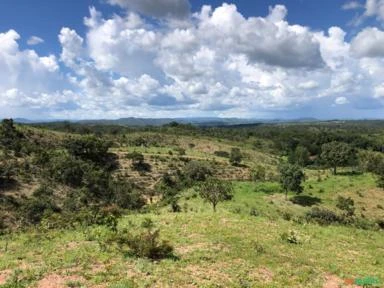 FAZENDA PARA GADO A VENDA EM PADRE BERNARDO GO